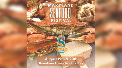 Maryland Seafood Festival Returns To Annapolis City Dock - The BayNet