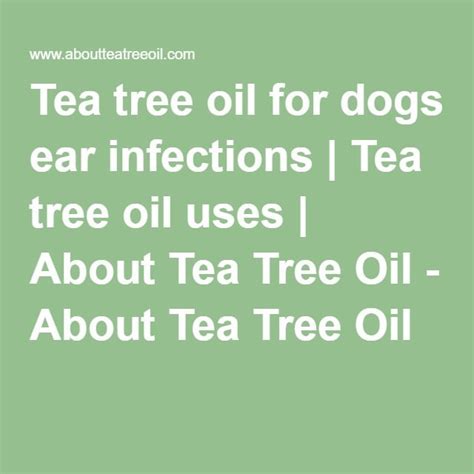 Tea tree oil for dogs ear infections | Tea tree oil uses | About Tea Tree Oil | Dogs ears ...