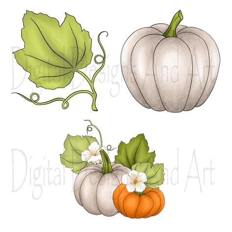 Autumn pumpkins clipart | Pumpkin clipart, Fall pumpkins, Clip art