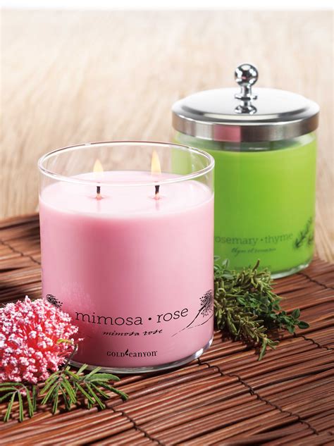 Who doesn't need a little aromatherapy? | Gold canyon candles, Candles, Gold canyon