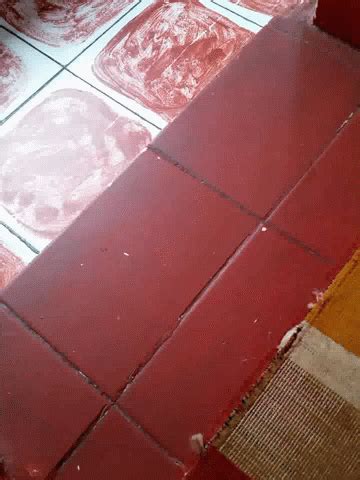 Red Floor Floor GIF - Red Floor Floor Tiles - Discover & Share GIFs