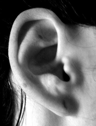 Ear Black and White | Samsung Wave S8500! Press L for better… | Flickr