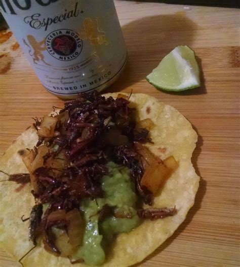 Gringo Chapulines Recipe - Bug Vivant