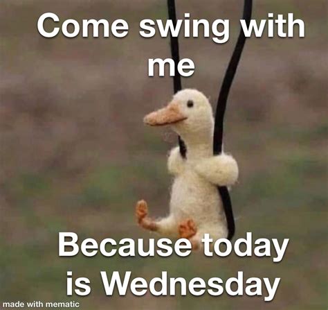 Happy Wednesday : r/memes