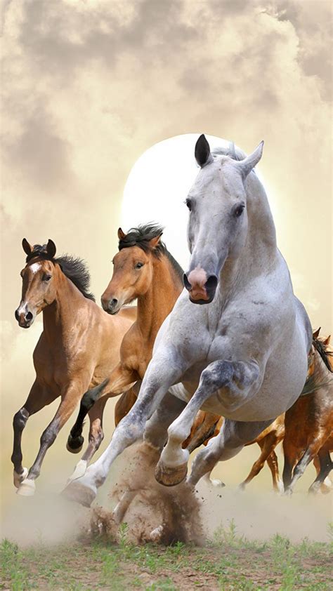 Running Horse Mobile HD Wallpapers - Wallpaper Cave