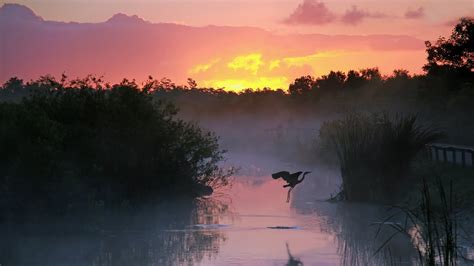 Everglades National Park