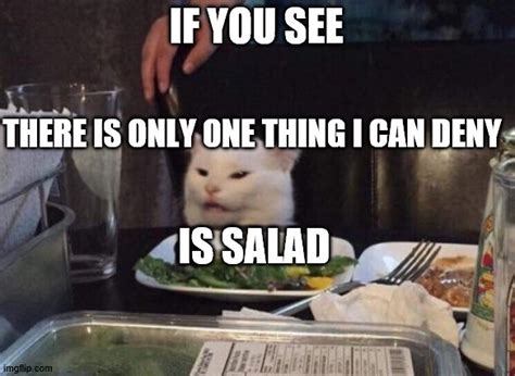 Salad cat - Imgflip