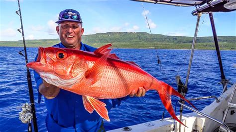 Absolute MONSTER Queen Snappers!!! {Catch Clean Cook} Organic Coconut crusted Onaga Fillet - YouTube