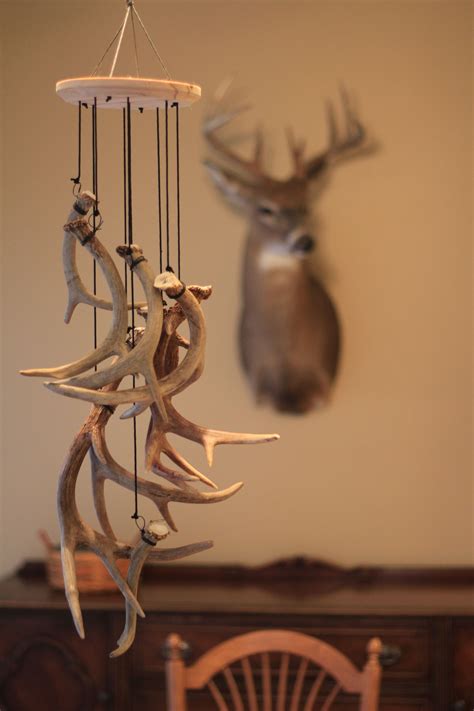 If you are a shed hunter or have some antlers around that may not have ...