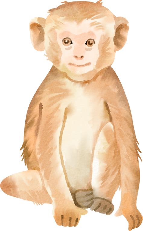 monkey watercolor clip art 16534673 PNG