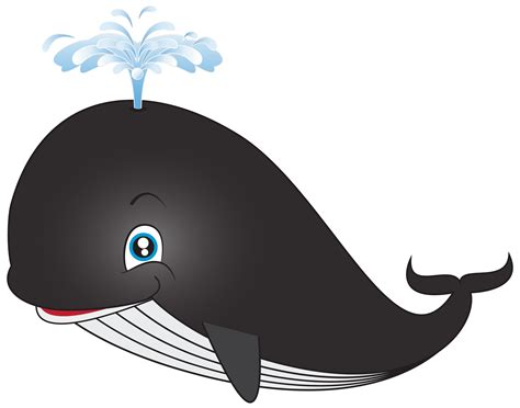 Png Cartoon Whale - Adolfo Baffuto