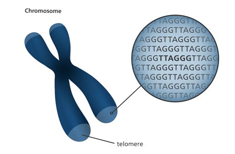 Pin on Illustrating genomics