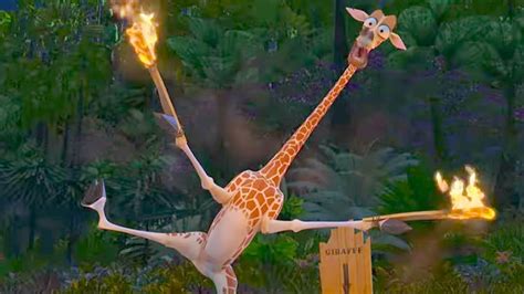 DreamWorks Madagascar | Melman's Attempt to Start a Fire! | Madagascar ...