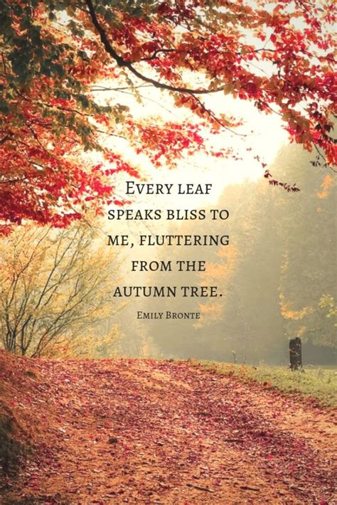 60+ Autumn Quotes & Fall Quotes and Captions to Enchant and Deepen the Soul! [Updated for 2021 ...