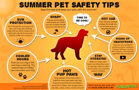 30 Infographics that can Save Your Pet /// Pet Safety Tips + Free Printable Pet Emergency ...