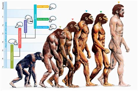 Blog de Sociales 1º ESO : LA PREHISTORIA