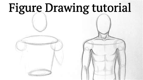 How to draw human figure drawing Male Torso easy for Beginners| Pencil drawing tutorial easy ...