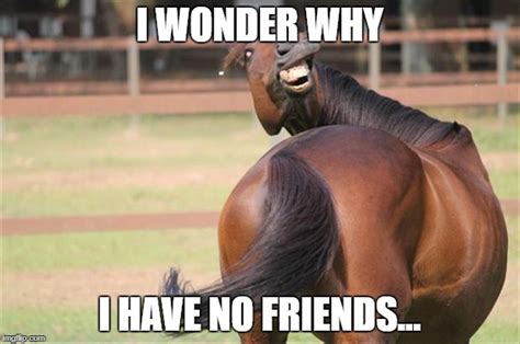 funny horse Memes - Imgflip