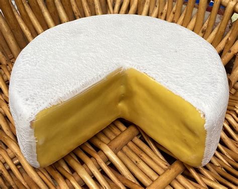 Fake Cheese | ubicaciondepersonas.cdmx.gob.mx