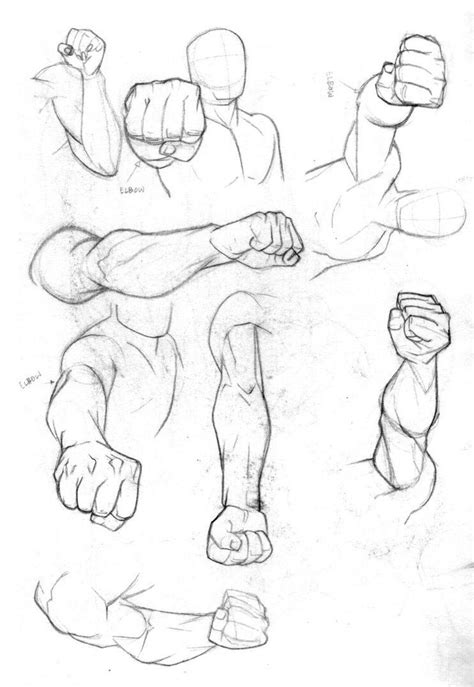 Fist Drawing Reference and Sketches for Artists