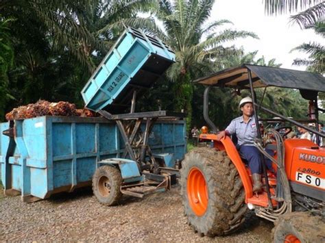 Kembara Insan / Engineer's Blog: Operasi Kilang Sawit / Palm Oil Mill Operation