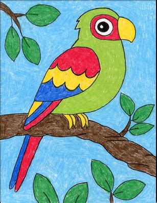 Easy How to Draw a Parrot Tutorial Video and Parrot Coloring Page
