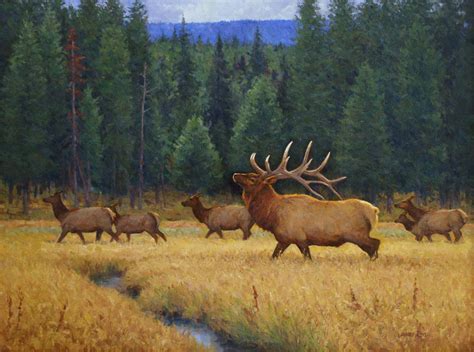 "Elk at Norris Meadows" - Original wildlife oil painting of elk in a ...