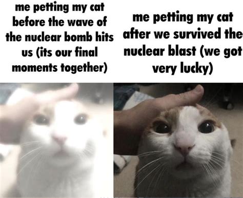 Me Petting My Cat Template And Meme Are Getting Viral On Internet | Memes.co.in