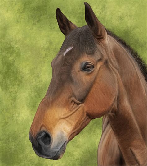 Digital Horse Painting #1 by Satrumm on DeviantArt