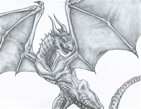 FREE 21+ Realistic Dragon Drawings in AI