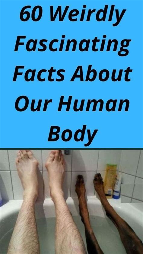 60 weird and freaky facts about the human body – Artofit