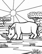 Rhinoceros coloring Page  Animals Town animals color Sheet sketch template