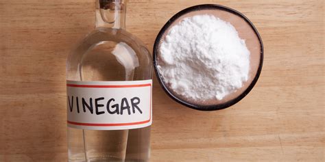 Vinegar Smell in House: How to Find it and What to Do Now (August 2024)