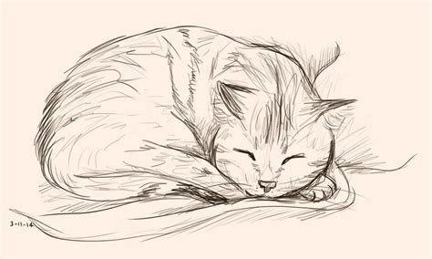 Cat Nap by KatNap8181 on DeviantArt