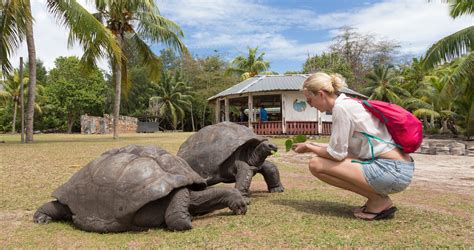 Culture of Seychelles | Culture & Heritage Tours | Enchanting Travels