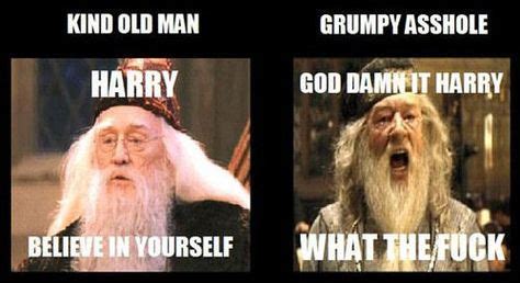 richard harris vs michael gambon - Google-Suche | Harry potter love, Harry potter obsession ...