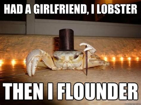 Had a girlfriend, I lobster Then I flounder | Pet halloween costumes, Fish puns, Funny animal ...