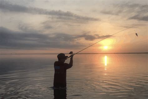 Fishing Corpus Christi Bay | FishAnywhere