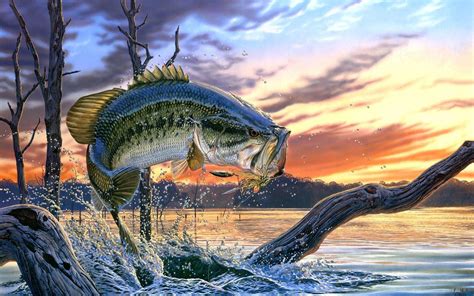 Bass Fishing Wallpaper Backgrounds - Wallpaper Cave