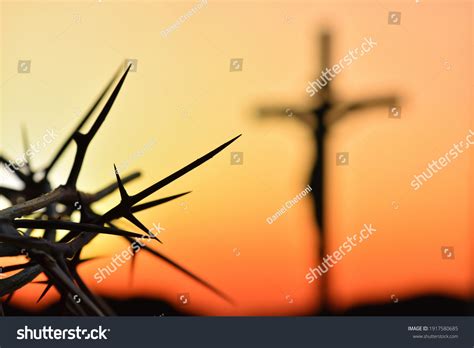 428 Crown Thorns Religious Sunset Images, Stock Photos & Vectors ...