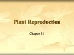PPT - Plant Survival, Reproduction, and Defense PowerPoint Presentation ...