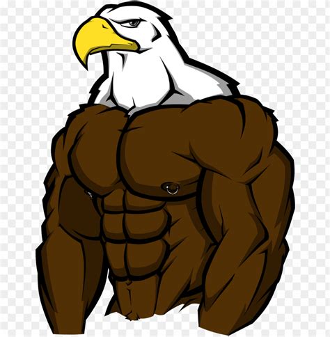 muscle bird of prey by wolfoxokamichan - buff eagle PNG image with transparent background | TOPpng