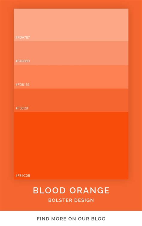 Ui Palette, Hex Color Palette, Orange Palette, Orange Color Palettes, Color Inspo, Color ...