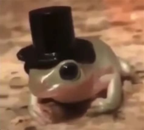 top hat and frog Pretty Animals, Cute Little Animals, Frog Pictures ...