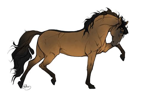 Pictures Of Horses To Draw