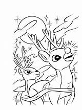 Free Printable Reindeer Coloring Pages For Kids  Animal Place sketch template