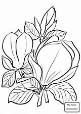 Magnolia Flower Coloring Page At GetColoringscom  Free Printable sketch template
