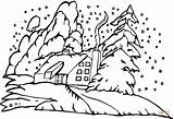 Pine Tree Coloring Page  Home sketch template