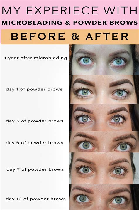 My Experience with Powder Brows (Eyebrow Tattoo) | Ombre eyebrows, Eyebrow tattoo, Powdered eyebrows