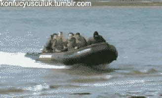 Boat Fail GIF - Find & Share on GIPHY